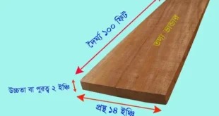 কাঠের হিসাব