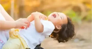 সানজিদা নামের অর্থ কি