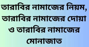 তারাবির নামাজের নিয়ম